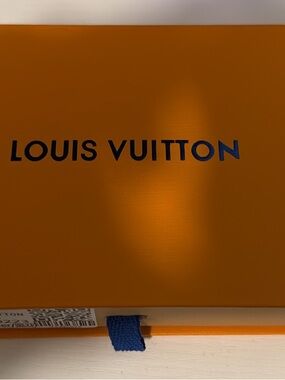 Louis Vuitton Orange and Blue Signature Wall Box Art